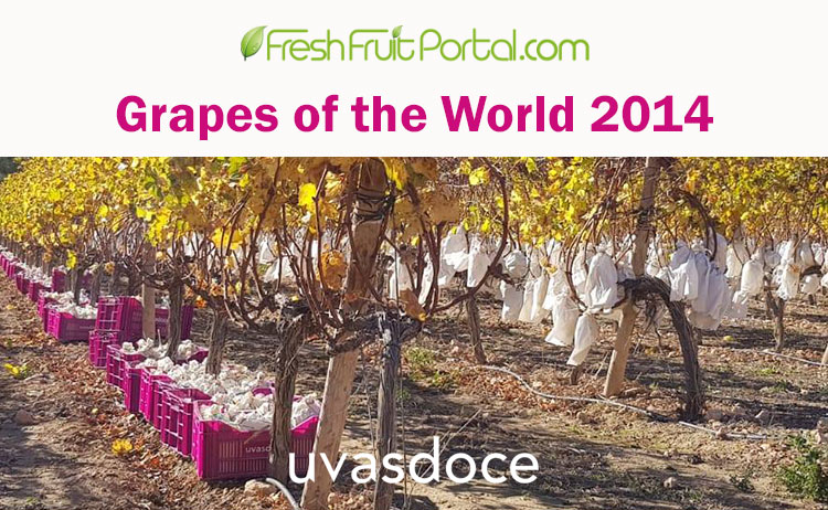 Grapes of the world 2014