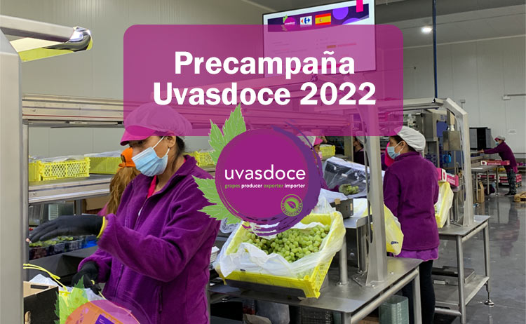 Precampaña Uvasdoce 2022